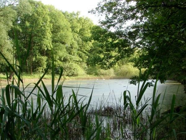 Ferienhaus Bindow Heidesee エクステリア 写真